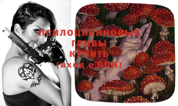 дурь Абаза