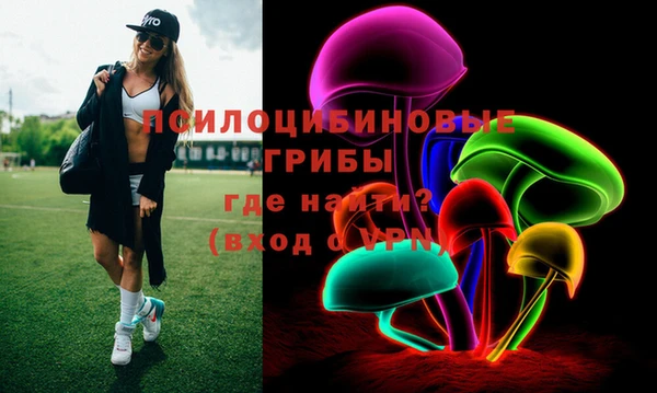 МДПВ Абинск