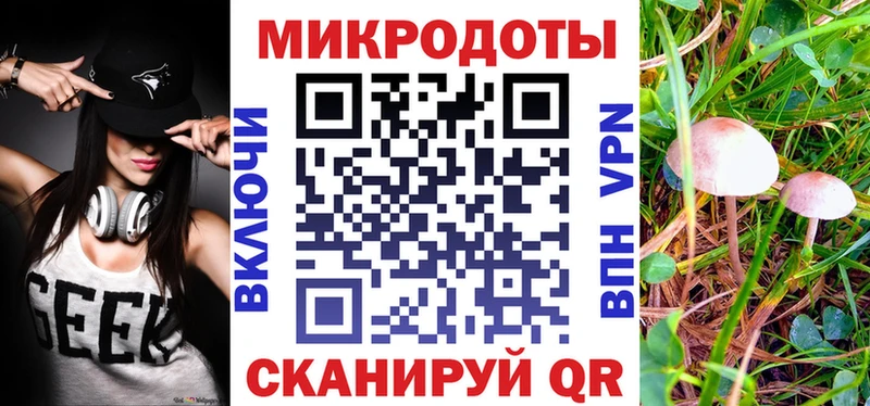 Галлюциногенные грибы мухоморы  Кингисепп 